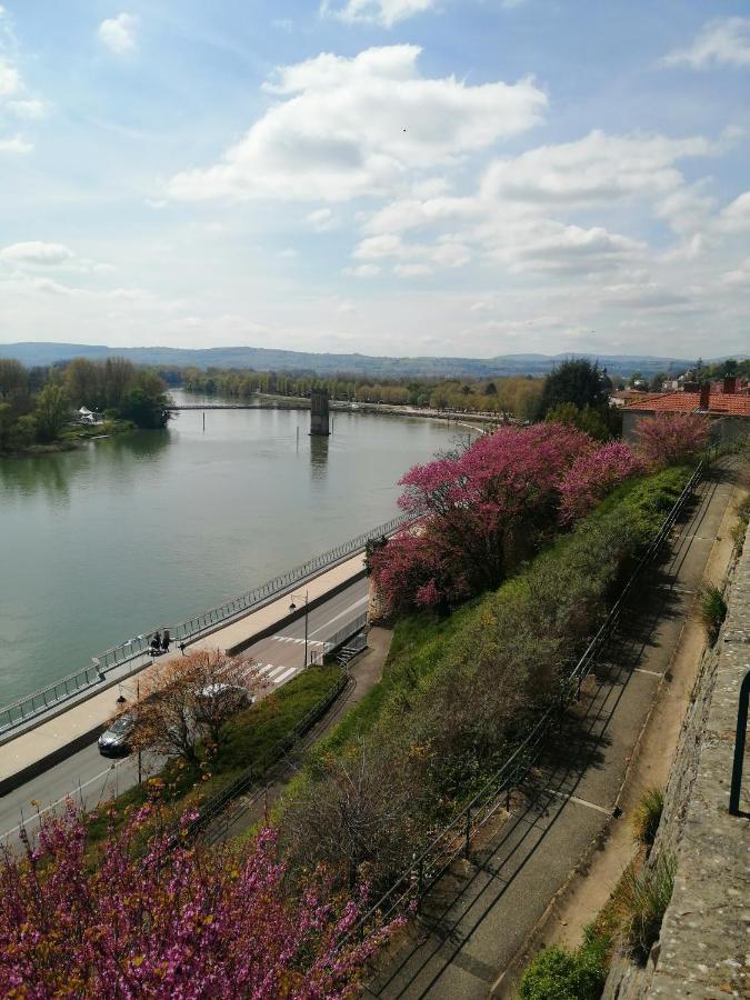 Maison "Le Figuier" Trevoux Climatisee Kültér fotó